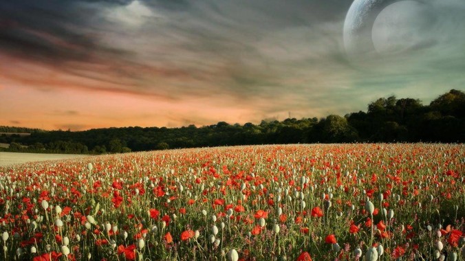 敢不敢留下你手机里第3张照片？